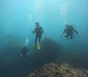 DCIM100GOPROGOPR1703.JPG