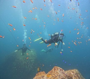 DCIM100GOPROGOPR1712.JPG