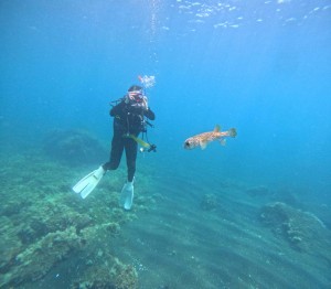 DCIM100GOPROGOPR1733.JPG