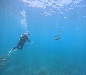 DCIM100GOPROGOPR1735.JPG
