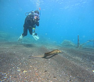 DCIM100GOPROGOPR1740.JPG