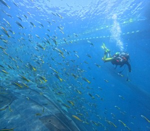 DCIM100GOPROGOPR1827.JPG