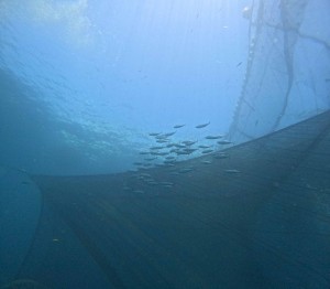 DCIM100GOPROGOPR1842.JPG