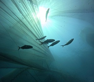 DCIM100GOPROGOPR1845.JPG