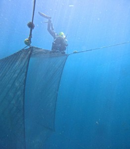 DCIM100GOPROGOPR1882.JPG