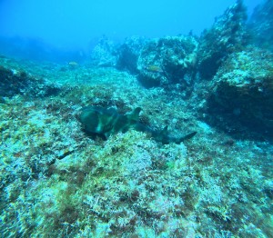 DCIM100GOPROGOPR1890.JPG