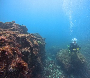 DCIM100GOPROGOPR1894.JPG