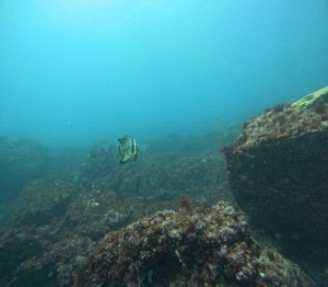 DCIM100GOPROGOPR1898.JPG