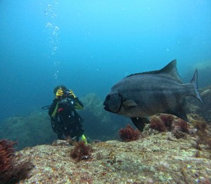 DCIM100GOPROGOPR1910.JPG