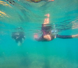 GOPR1995