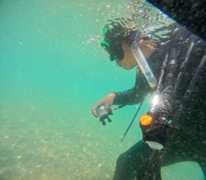 GOPR2004