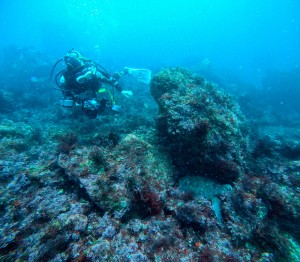 GOPR5383
