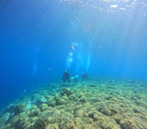 DCIM100GOPROGOPR5453.JPG