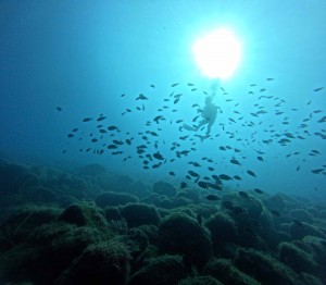 DCIM100GOPROGOPR5458.JPG