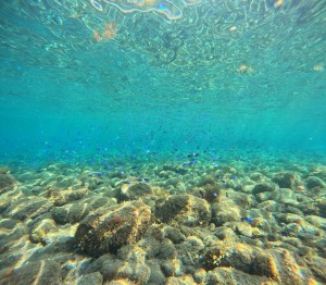 DCIM100GOPROGOPR5491.JPG