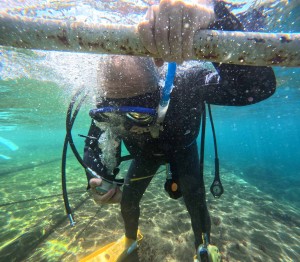 DCIM100GOPROGOPR5501.JPG
