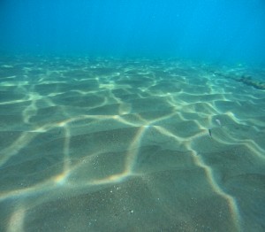 DCIM100GOPROGOPR5548.JPG