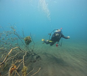 DCIM100GOPROGOPR5569.JPG