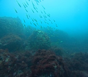 DCIM100GOPROGOPR5661.JPG