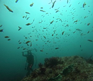 DCIM100GOPROGOPR5671.JPG