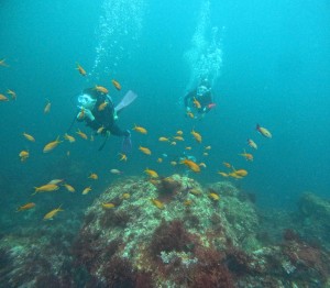 DCIM100GOPROGOPR5682.JPG