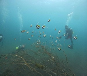 DCIM100GOPROGOPR5699.JPG