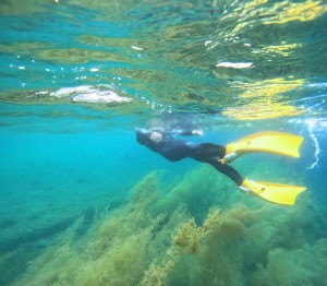 DCIM100GOPROGOPR6385.JPG