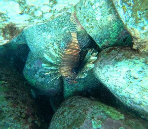 DCIM100GOPROGOPR6411.JPG