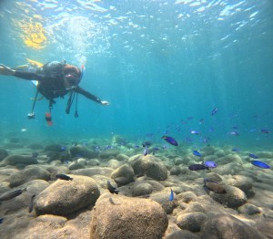 DCIM100GOPROGOPR6424.JPG