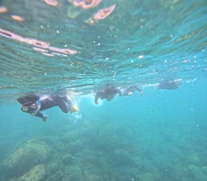DCIM100GOPROGOPR6435.JPG
