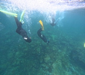 DCIM100GOPROGOPR6439.JPG