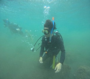 DCIM100GOPROGOPR6448.JPG