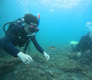 DCIM100GOPROGOPR6456.JPG