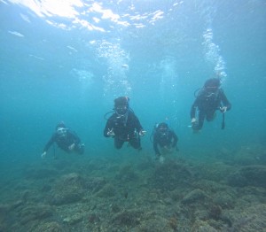 DCIM100GOPROGOPR6457.JPG