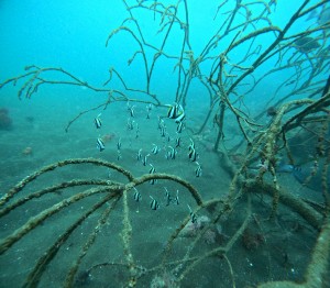 DCIM100GOPROGOPR6469.JPG