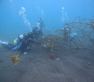 DCIM100GOPROGOPR6473.JPG