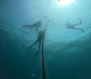 DCIM100GOPROGOPR6478.JPG