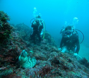 DCIM100GOPROGOPR6488.JPG
