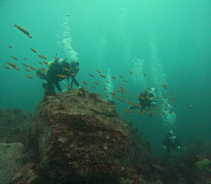 DCIM100GOPROGOPR6489.JPG