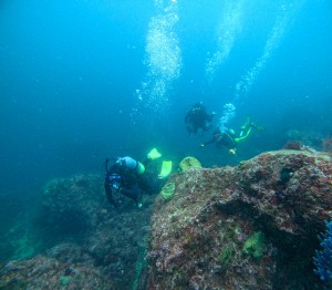 GOPR6570
