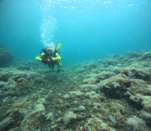 DCIM100GOPROGOPR6690.JPG