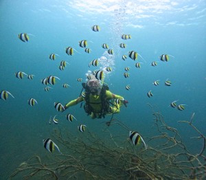 DCIM100GOPROGOPR6714.JPG