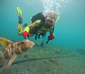 DCIM100GOPROGOPR6754.JPG