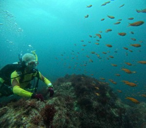 DCIM100GOPROGOPR6760.JPG