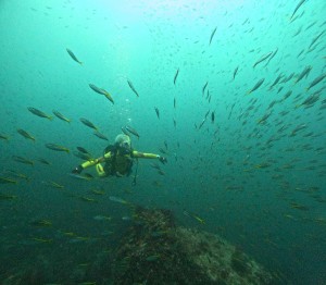 DCIM100GOPROGOPR6772.JPG