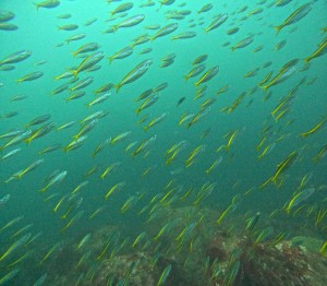 DCIM100GOPROGOPR6776.JPG