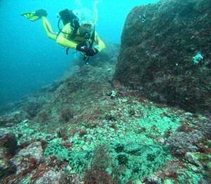 DCIM100GOPROGOPR6784.JPG