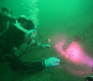 DCIM100GOPROGOPR6901.JPG