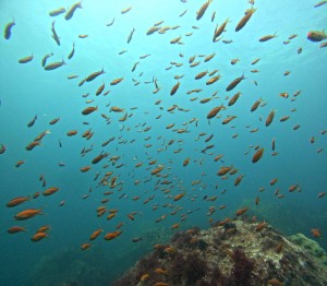 DCIM100GOPROGOPR6928.JPG