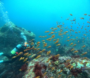 DCIM100GOPROGOPR6932.JPG